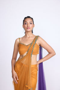 The Dual Saree