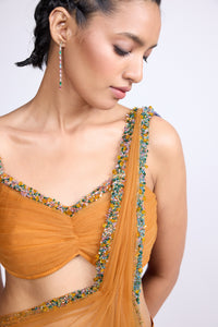 The Dual Saree
