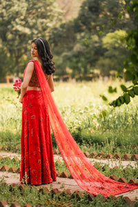 The Wedding Saree